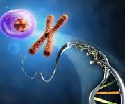 RNA-Expressionsanalyse: Screening lebender Zellen mit RNA-Detektionssonden