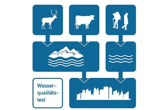 Schnelltest