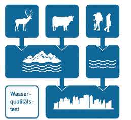 Schnelltest Schnelltest