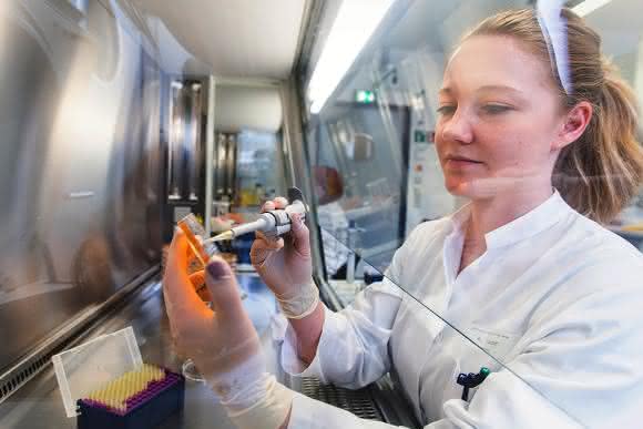 Zentrum für Innovationskompetenz Septomics: Antje Häder an der Sterilwerkbank