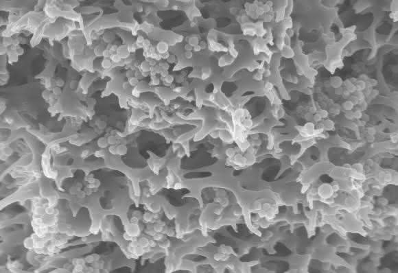 Selektive Membranadsorber: Schadstoffe im Wasser einfach binden