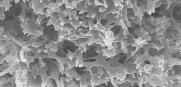 Selektive Membranadsorber: Schadstoffe im Wasser einfach binden