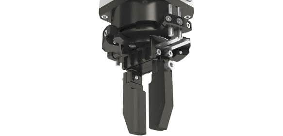 Schunk EGS