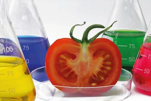 Pestizid- und Antibiotika-Rückstände messen: Probenvorbereitung am Beispiel von Tomaten