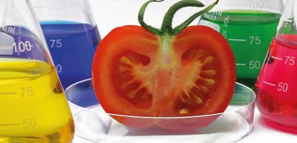 Pestizid- und Antibiotika-Rückstände messen: Probenvorbereitung am Beispiel von Tomaten Pestizid- und Antibiotika-Rückstände messen: Probenvorbereitung am Beispiel von Tomaten