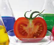 Pestizid- und Antibiotika-Rückstände messen: Probenvorbereitung am Beispiel von Tomaten Pestizid- und Antibiotika-Rückstände messen: Probenvorbereitung am Beispiel von Tomaten