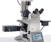 Photobleaching-Modul