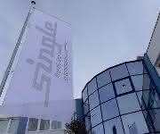 Single-Gruppe Single-Gruppe