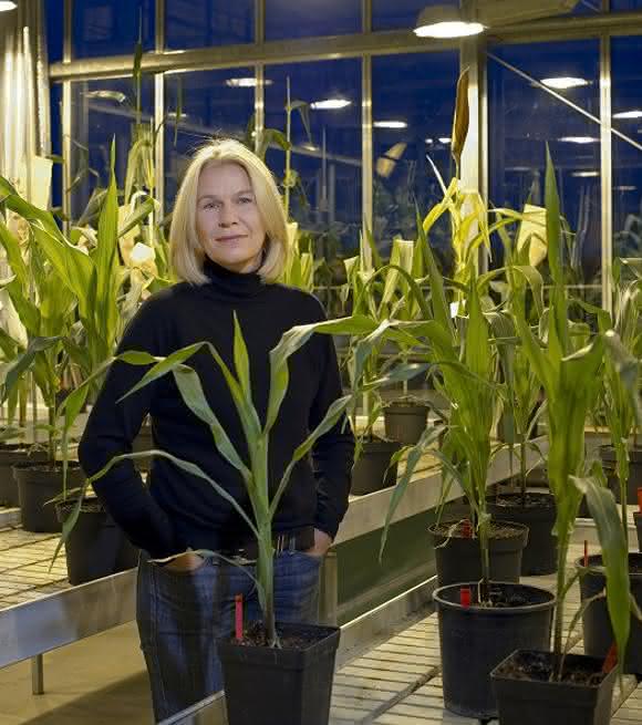 Prof. Dr. Chris-Carolin Schön