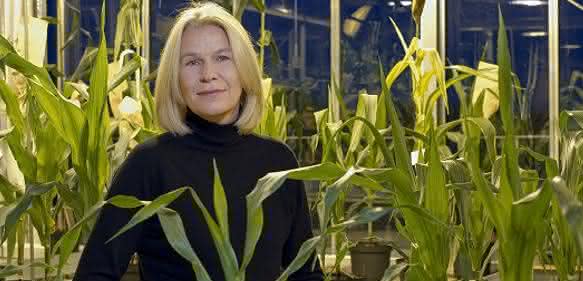 Prof. Dr. Chris-Carolin Schön