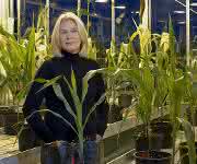 Prof. Dr. Chris-Carolin Schön Prof. Dr. Chris-Carolin Schön