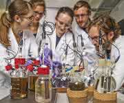 Bioelektrotechnologie