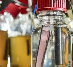 Biofilmelektrode