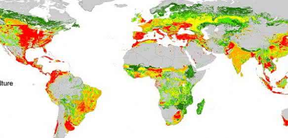 Globale Risikokarte Globale Risikokarte