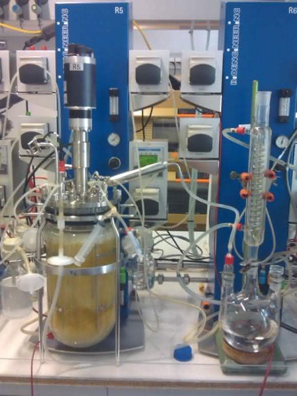 Bioreaktor im Labor der TU Wien: (Bild: TU Wien)