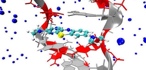 DNA-Strang DNA-Strang