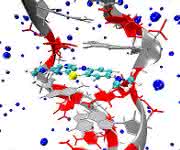 DNA-Strang