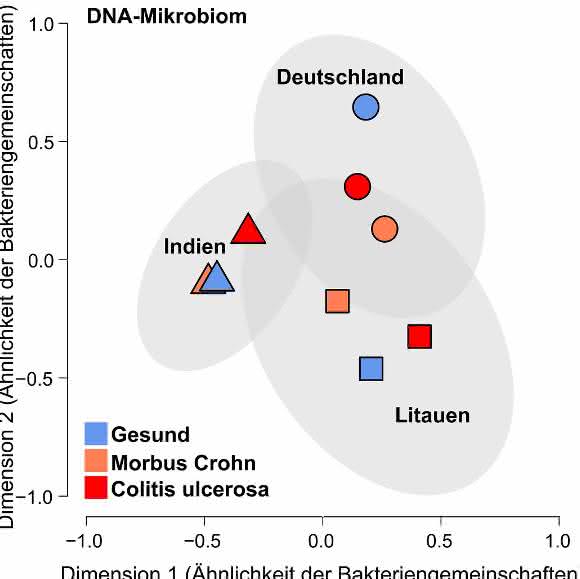 Das Mikrobiom von Menschen aus Deutschland, Indien und Litauen variiert erheblich. (Bild: Philipp Rausch) Das Mikrobiom von Menschen aus Deutschland, Indien und Litauen variiert erheblich. (Bild: Philipp Rausch)