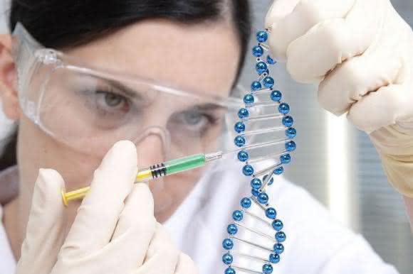 Simulationssoftware beschleunigt Entwicklung: Molekularbiologisches Messgerät