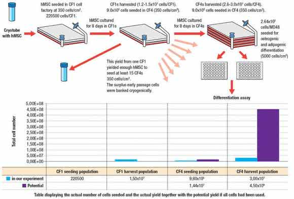 Zell- und Mikrobiologie: Optimized cell culture: for bench and beyond