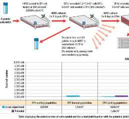 Zell- und Mikrobiologie: Optimized cell culture: for bench and beyond Zell- und Mikrobiologie: Optimized cell culture: for bench and beyond