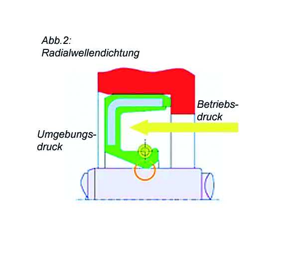 Radialwellendichtung