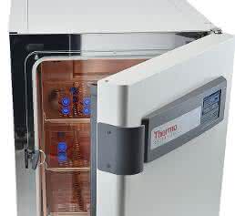 Inkubator