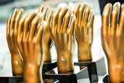 Bildergalerie (39 Bilder): Der handling award