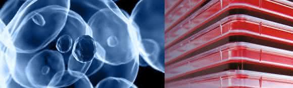 Nunc Cell Factory system