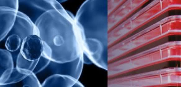Nunc Cell Factory system