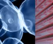 Nunc Cell Factory system