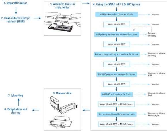 Antibody recovery