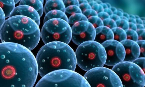 Immunohistochemistry: antibody recovery and reuse in SNAP i.d.® 2.0 system