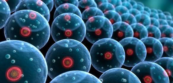 Immunohistochemistry: antibody recovery and reuse in SNAP i.d.® 2.0 system