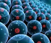 Immunohistochemistry: antibody recovery and reuse in SNAP i.d.® 2.0 system