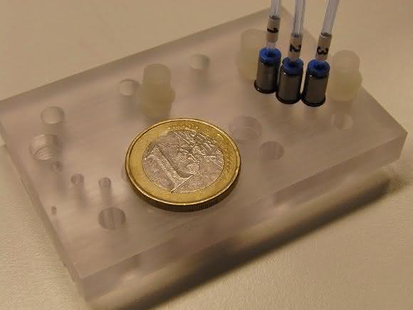 Multiorgan-Chip