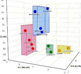 Clusteranalyse