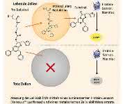 Zellviabilitäts-Test Zellviabilitäts-Test