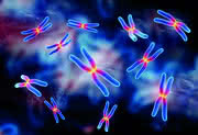 Genomics/Proteomics: Next-Gen Sequencing Gets a Fix on Disease