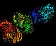 Proteomics: Therapeutic Proteins, Made Better
