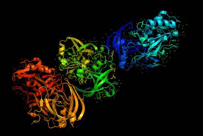 Proteomics: Therapeutic Proteins, Made Better