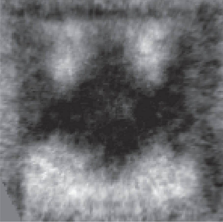 Magnetisierung