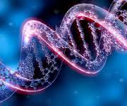 Real-Time PCR: Yet More Worlds to Conquer
