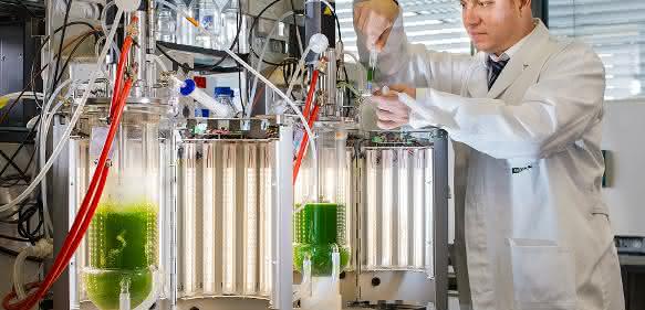 LED-Bioreaktor
