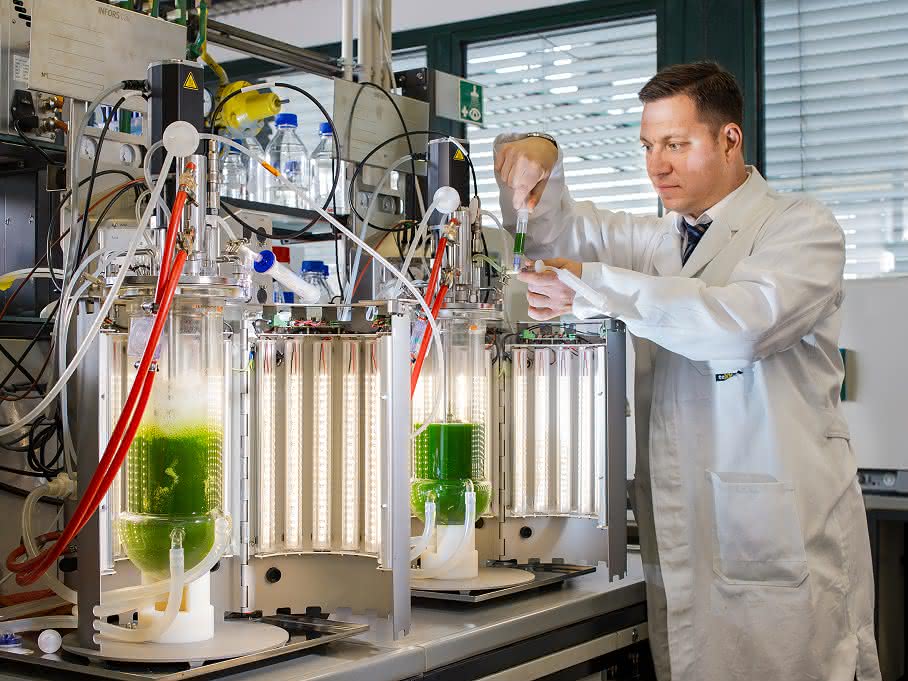 Prof. Brück LED-Bioreaktor