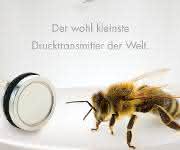 Kombitransmitter für Druck und Temperatur: LD-Serie von Keller