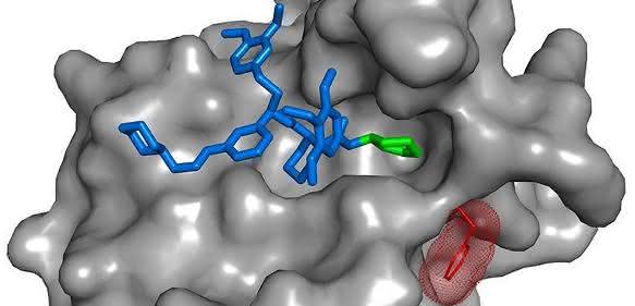 SAFit-Ligand