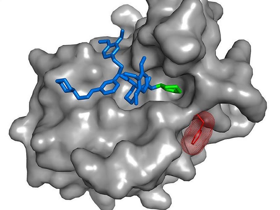 SAFit-Ligand