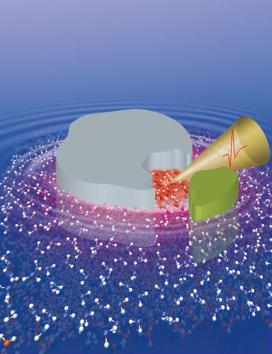 Klassische enzymatische Theorie erweitert: RESOLV bezieht die Rolle des Wassers bei biologischen Reaktionen ein