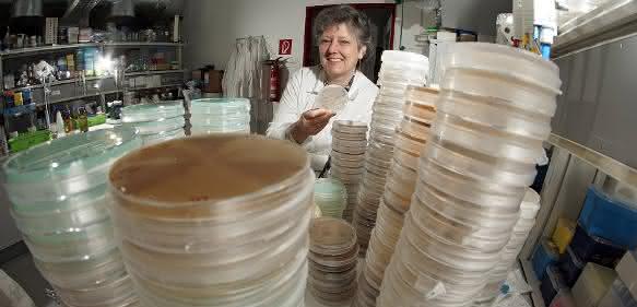 Prof. Dr. Erika Kothe